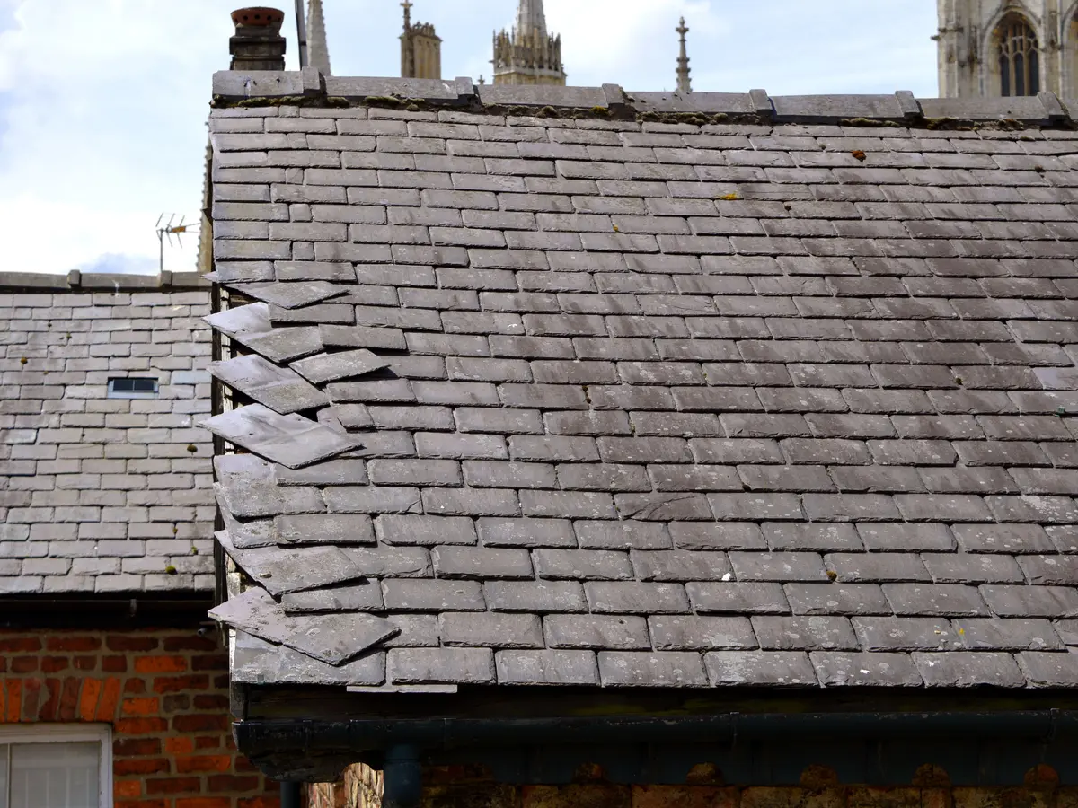 Slipped slates on an old slate roof