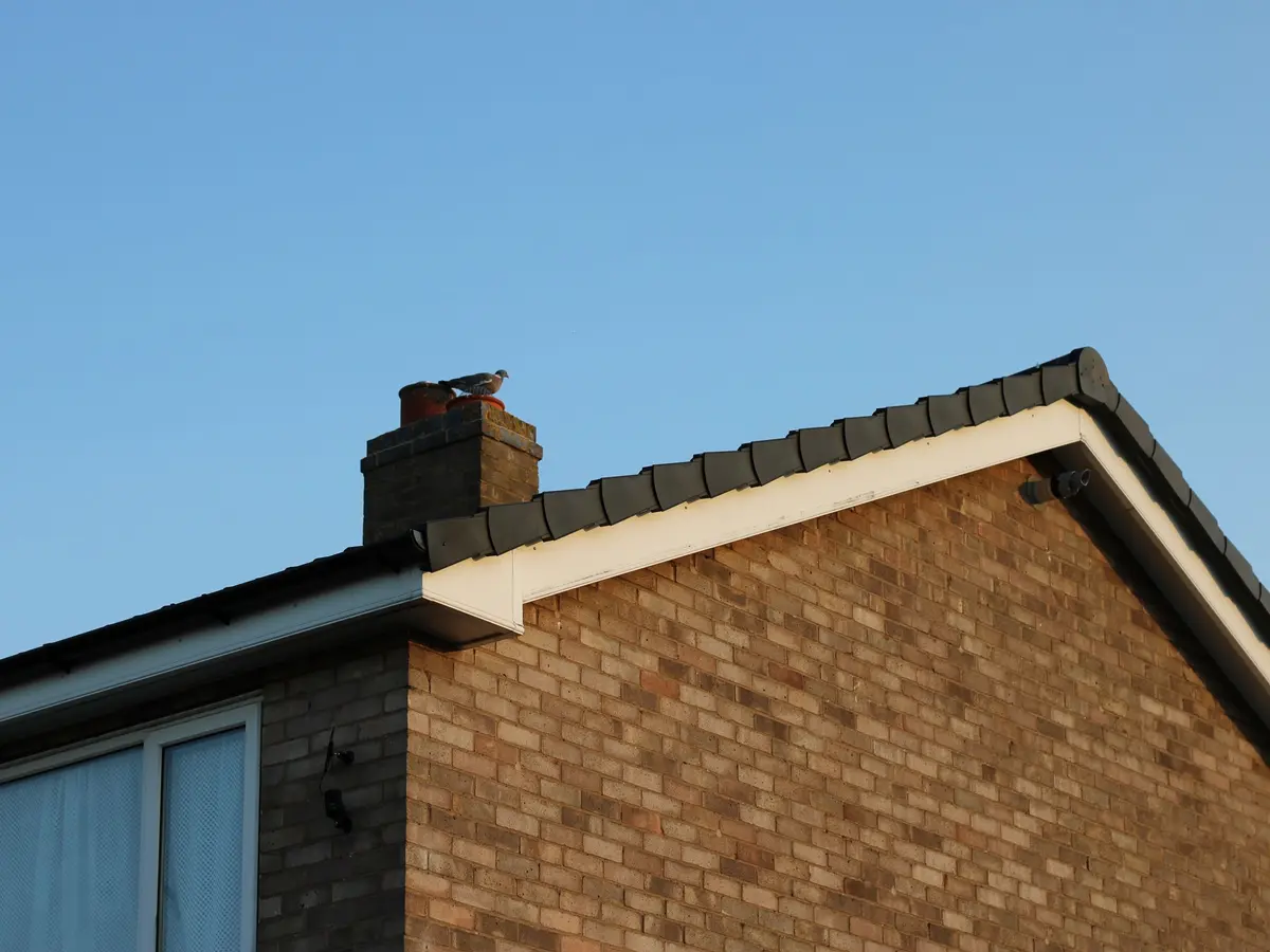 Brick house with white fascia and bargeboards